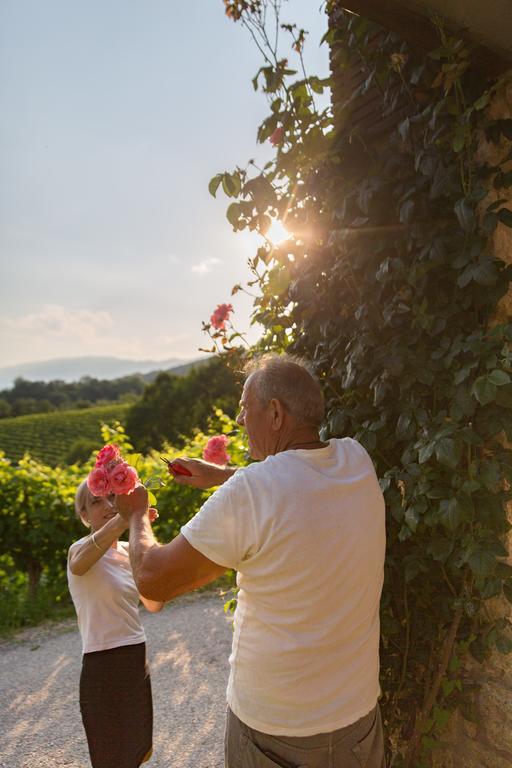 Villa Prosecco Tarzo Экстерьер фото